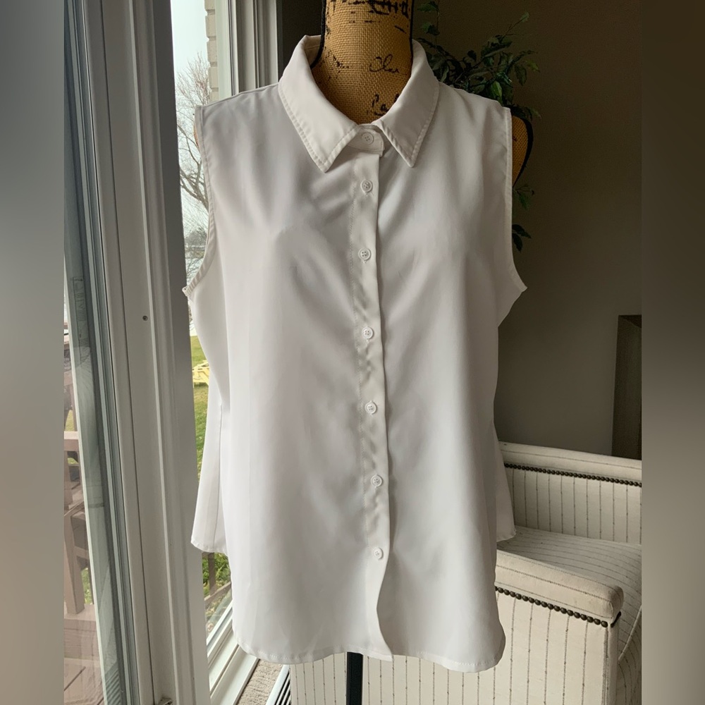 Mint Limit Sleeveless Button Front Blouse Size Large